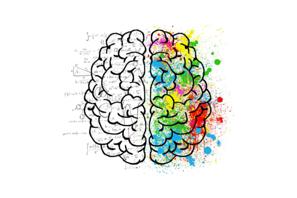 Neuropsychological-assessment-Cover